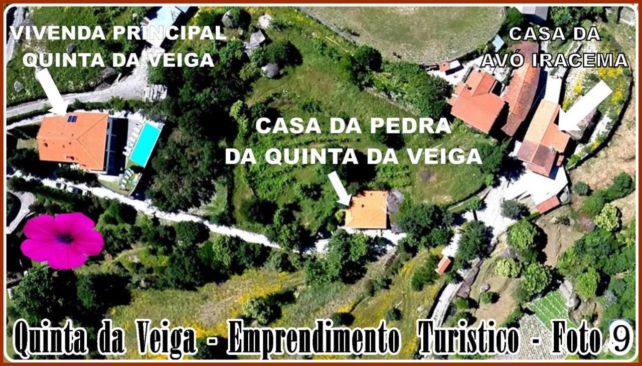 Maison d'hôtes Quinta Da Veiga à Vieira do Minho Extérieur photo